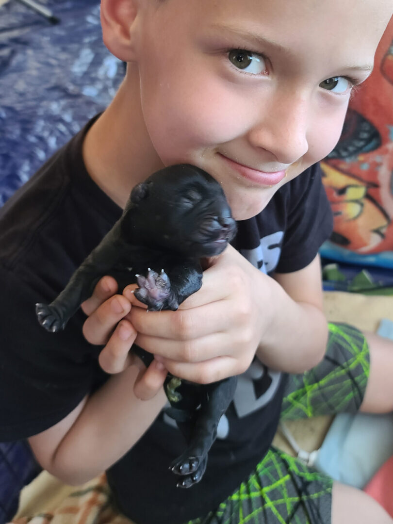 A boy holding a baby black dragon.